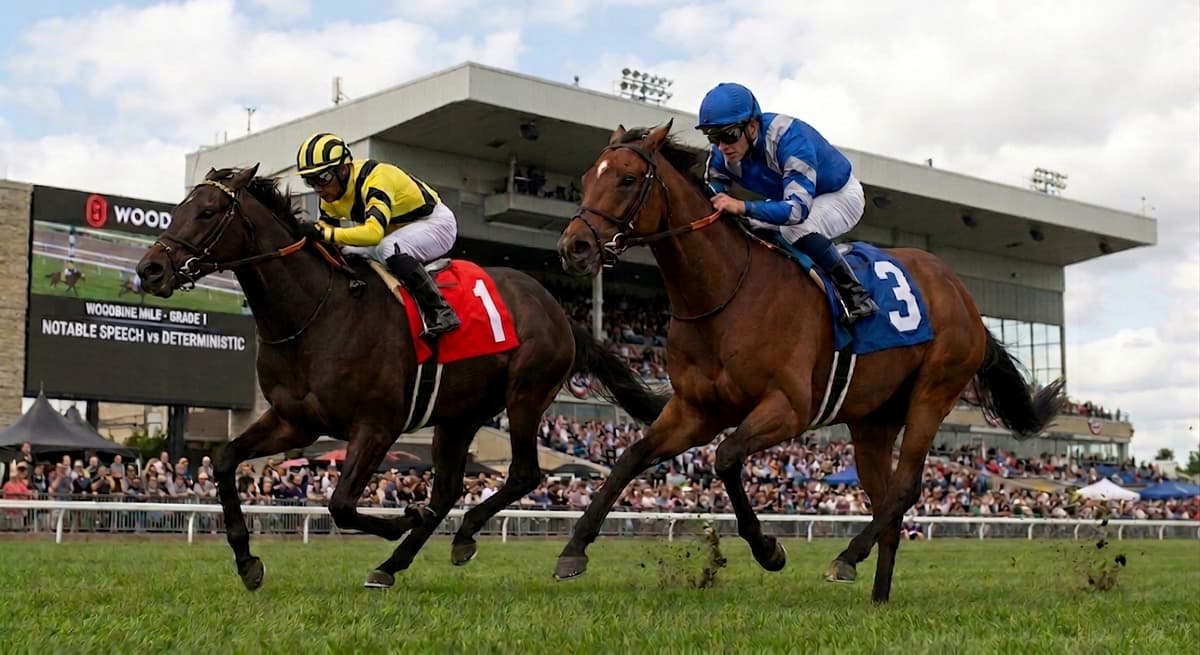 Notable Speech vs. Deterministic in the Woodbine Mile