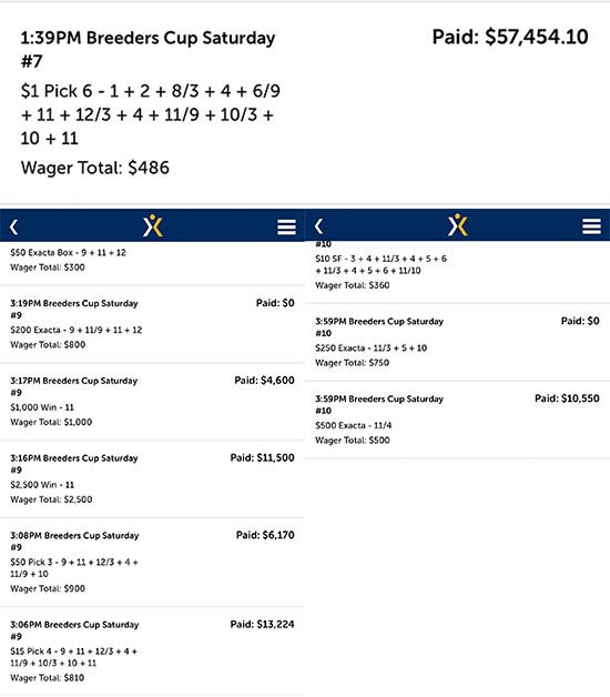 Hits Pick 6 Among Other Wagers in 2019 Breeders' Cup For Over $100K!